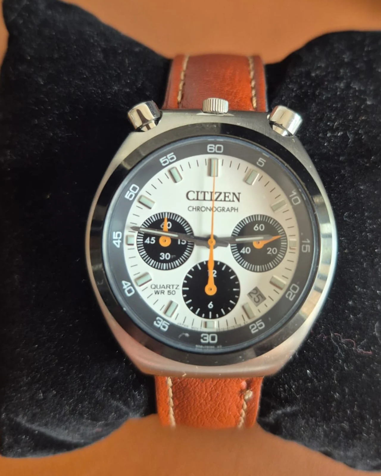 Citizen Bullhead Tsuno Panda AN3660-81A / TZ31829Q